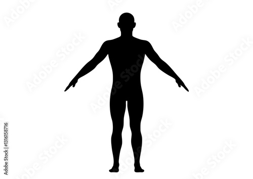 人体モデル 立像 正面 男性