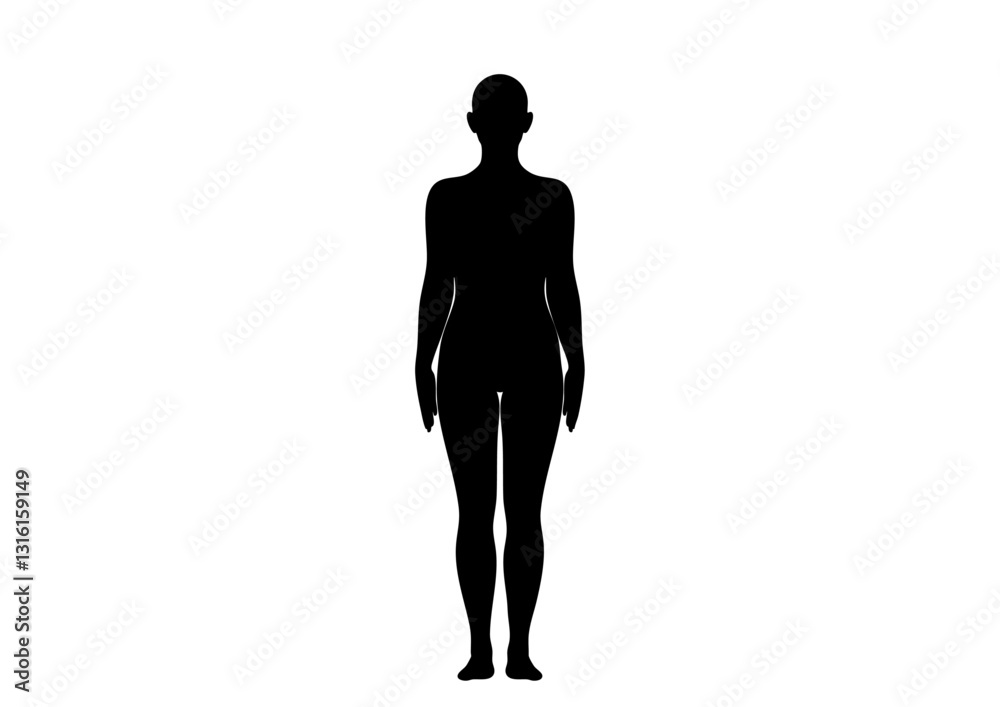 人体モデル 立像 正面 女性 人体モデル 立像 正面 女性