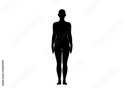 人体モデル 立像 正面 女性