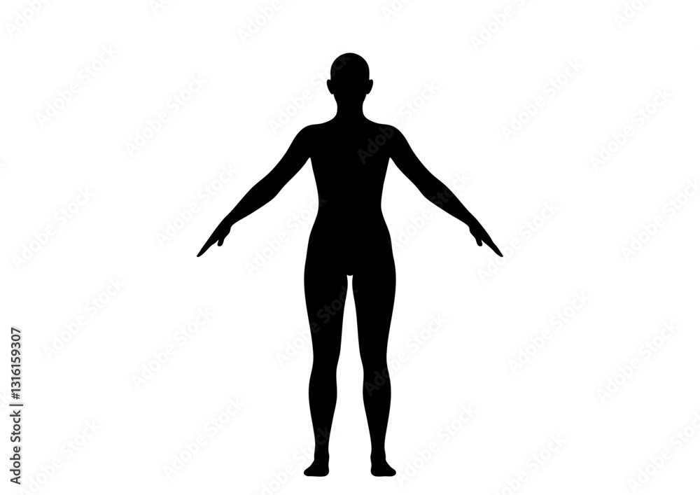 人体モデル 立像 正面 女性 人体モデル 立像 正面 女性