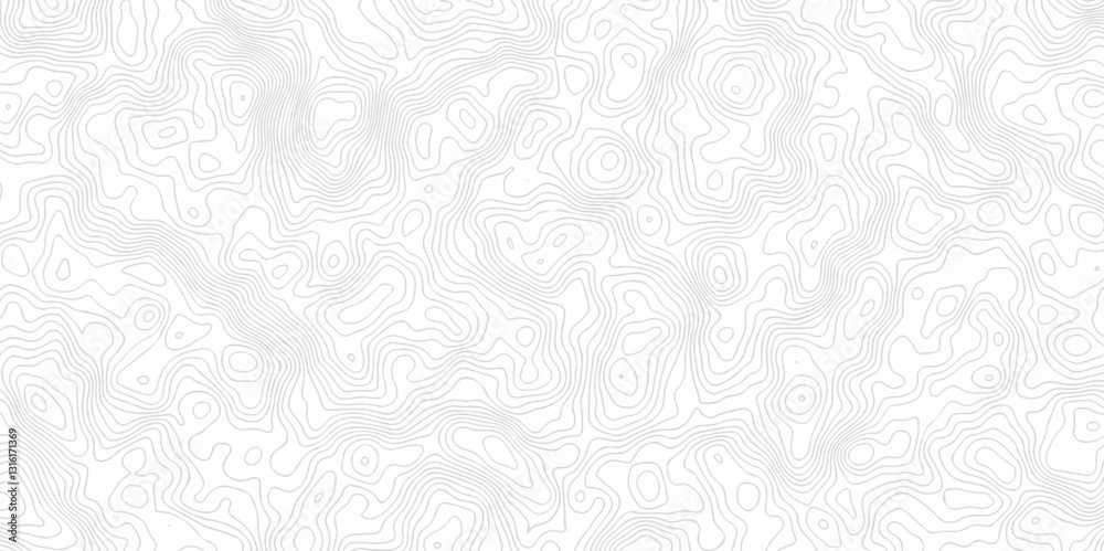 Contour abstract map relief land outline. Topographic map patterns. White wave paper curved reliefs abstract background. Background of the topography map. Abstract pattern with lines. Contour abstract map relief land outline. Topographic map patterns. White wave paper curved reliefs abstract background. Background of the topography map. Abstract pattern with lines.