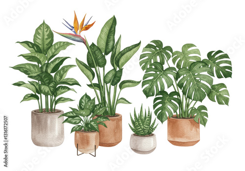 Isolated Collection of Watercolor Potted House Plants
