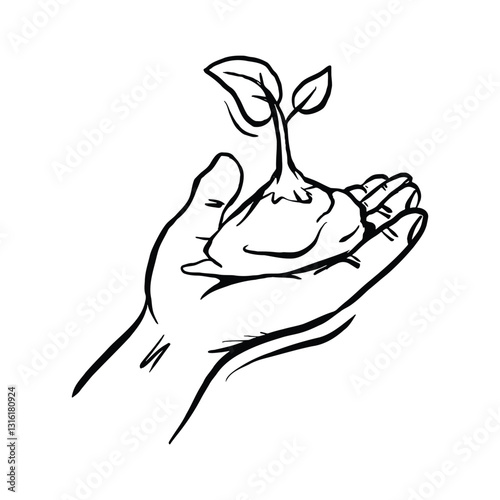 A Hand Gently Protecting a Sprouting Plant