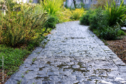 Walkways in parks and wet areas,Morning atmosphere after the rain with a bright atmosphere