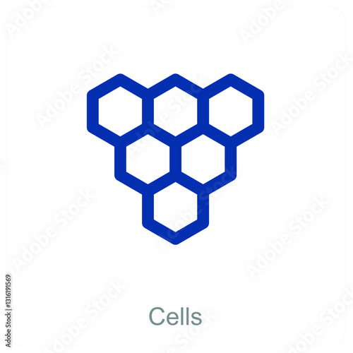 Cells