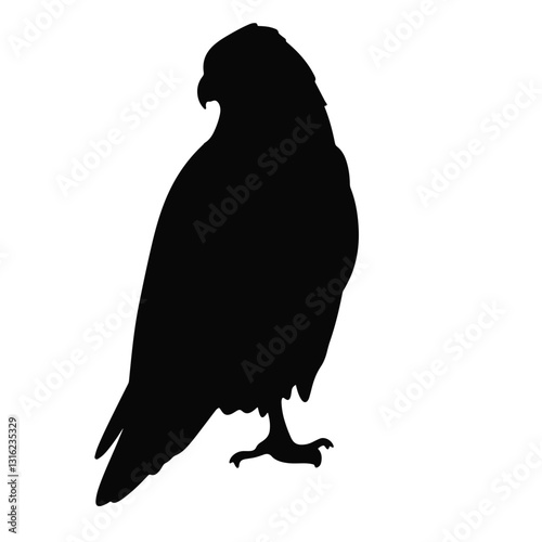 Silhouette of a falcon perched on a branch, nature's elegance