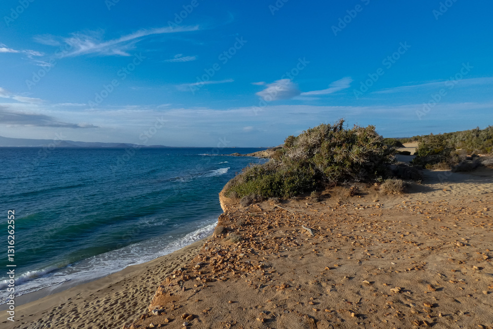 Sun shining over a secluded beach with vegetation and cliffs at sunset