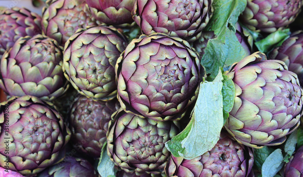 Obraz premium background of very large organic artichokes freshly picked from the field for sale at the market