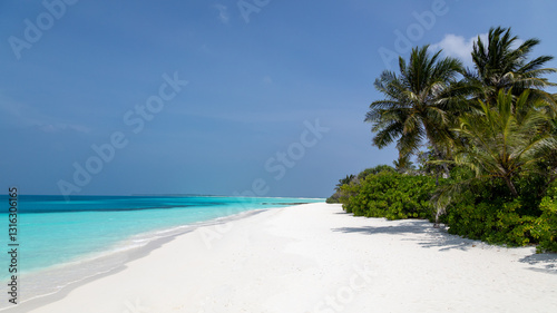 Fototapeta Naklejka Na Ścianę i Meble -  Tropical island in the Maldives with turquoise sea and palm tree