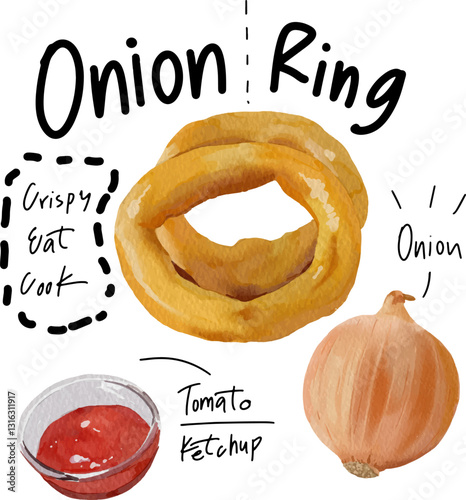Hand drawn Onion Ring and Tomato Ketchup, watercolor style.
