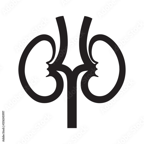 kidney vector