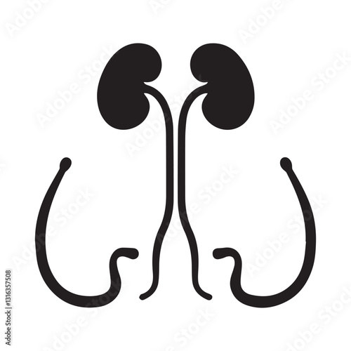 kidney vector