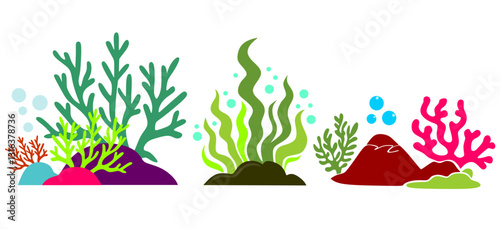Coral reefs and seaweed vector illustration. aquarium elements set.