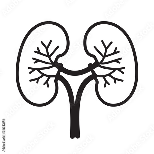 kidney vector