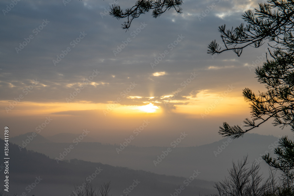 View from a sandstone cliff in the middle of the forest. Landscape with a magnificent view over a forest shrouded in fog in a valley. Sunrise in the Palatinate Forest, Germany. View from a sandstone cliff in the middle of the forest. Landscape with a magnificent view over a forest shrouded in fog in a valley. Sunrise in the Palatinate Forest, Germany.