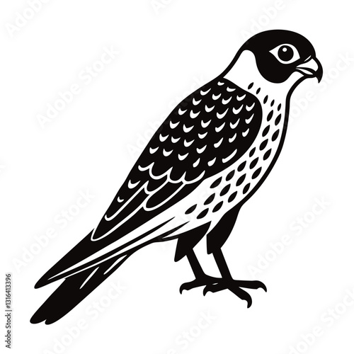 bird of prey vector illustration