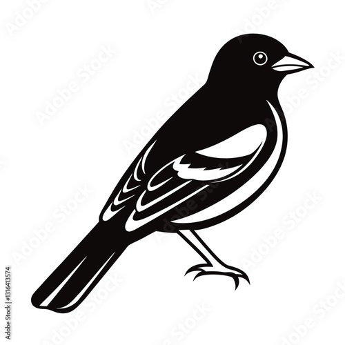 vector illustration of a bird