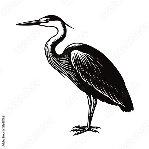 heron vector illustration 