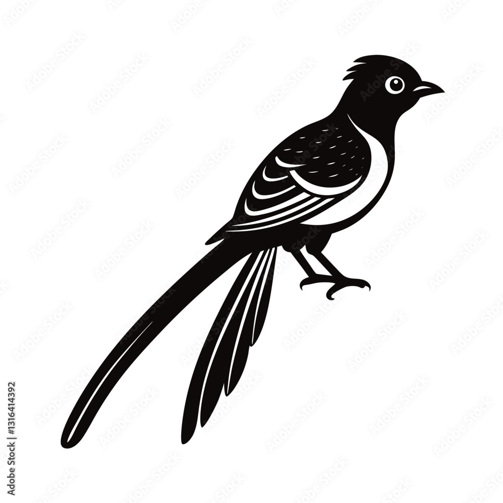 Obraz premium vector illustration of a beautiful bird