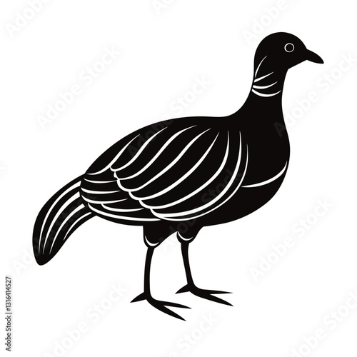 vector illustration of a bird
