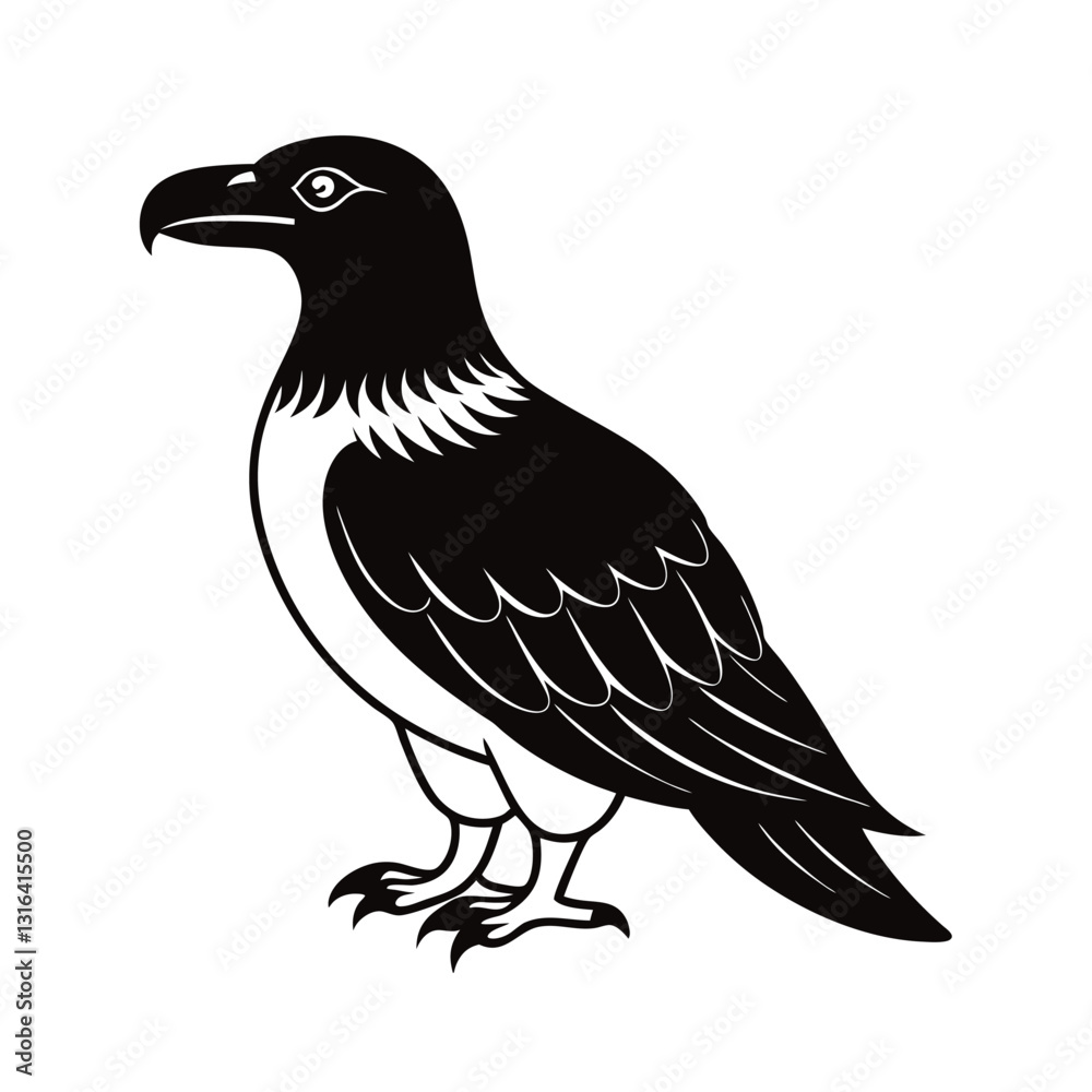 Fototapeta premium vector illustration of a sea bird