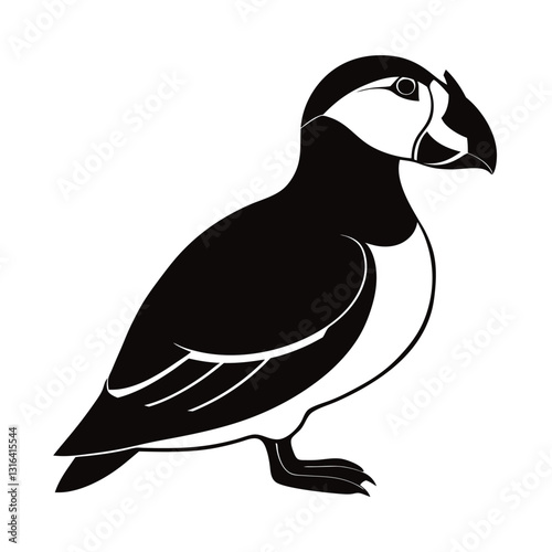 vector illustration of a bird