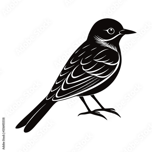 vector illustration of a  lovely bird