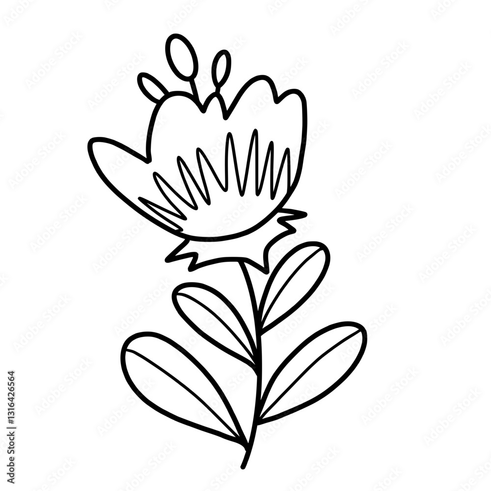 Obraz premium vector illustration of lily flower