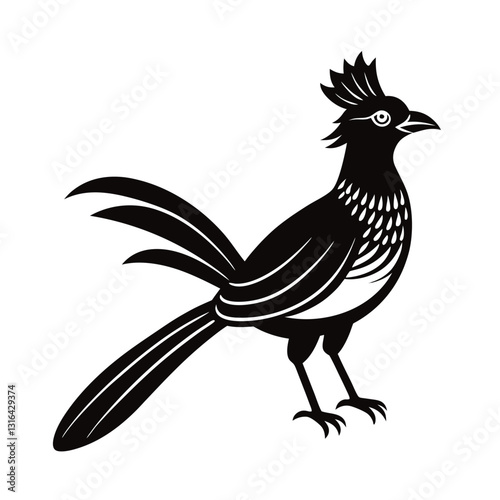 vector illustration of a  beautiful  bird