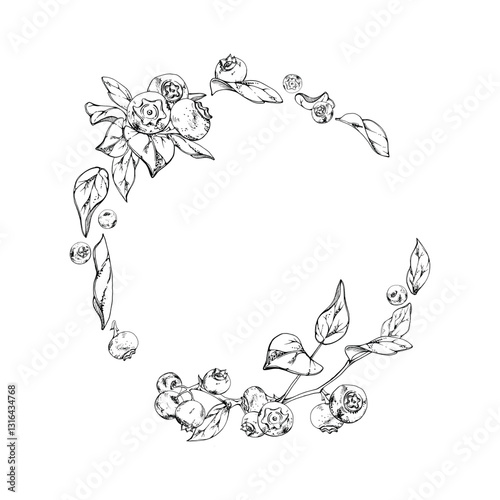 Blueberry blackberry bunch with plant leaves on branch, hand drawn in ink vector, ripe forest berry. Isolated botanical illustration wreath garland frame for recipe book, wedding menu, farmers market