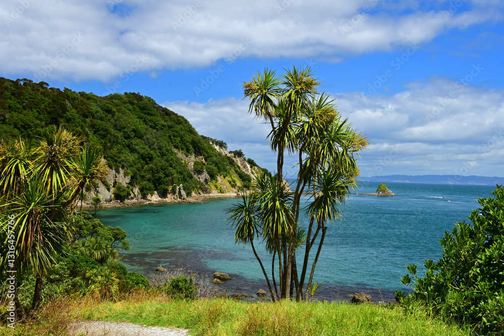 Fototapeta premium picturesque breams bay and a cabbage tree from an overlook on a sunny summer day while hiking the smugglers bay loop trail, near whangarei on the north island of new zealand