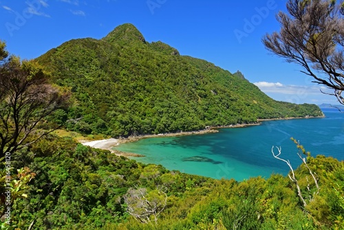 looking down on picturesque  smuggler's bay beach  from an overlook on busby head on a sunny summer day while hiking the smugglers bay loop trail, near whangarei on the north island of new zealand photo