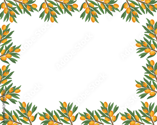 Decorative sea buckthorn banner with branches, berries, and leaves. Fruit template with sea buckthorn branches, square vector background.