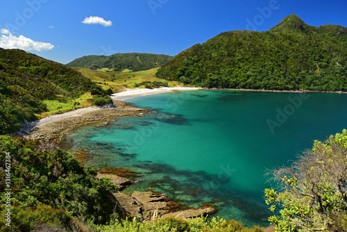 looking down on picturesque  smuggler's bay beach  from an overlook on busby head on a sunny summer day while hiking the smugglers bay loop trail, near whangarei on the north island of new zealand