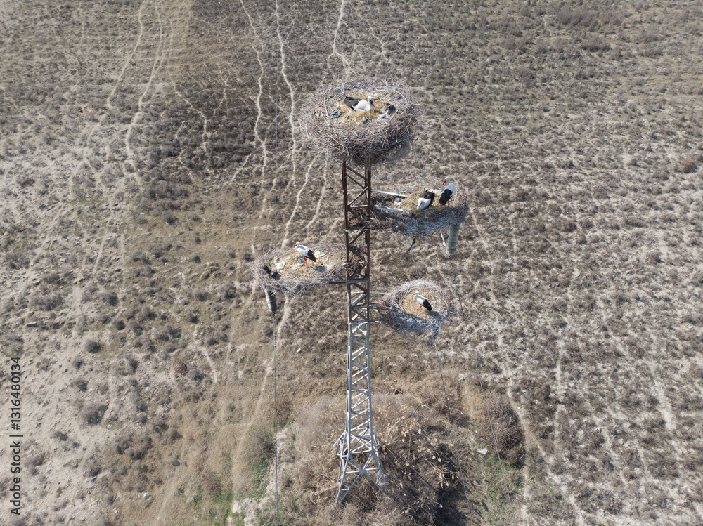White stork nests on a pole, filmed from a quadcopter.Uzbekistan