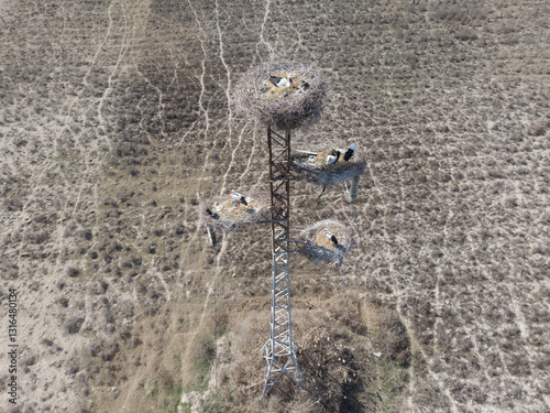 Obraz na płótnie White stork nests on a pole, filmed from a quadcopter.Uzbekistan w salonie