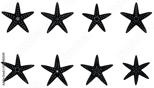 Starfish Vector Shilhouette Bundle Set Icon.