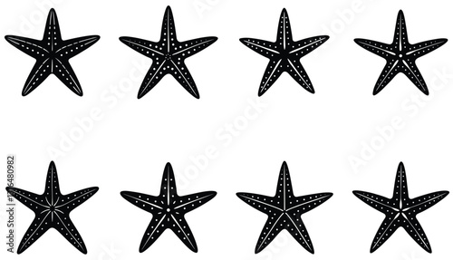 Starfish Vector Shilhouette Bundle Set Icon.