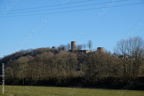 FU 2022-03-10 Blankenberg 35 Auf dem Berg steht eine Burg im Wald photo