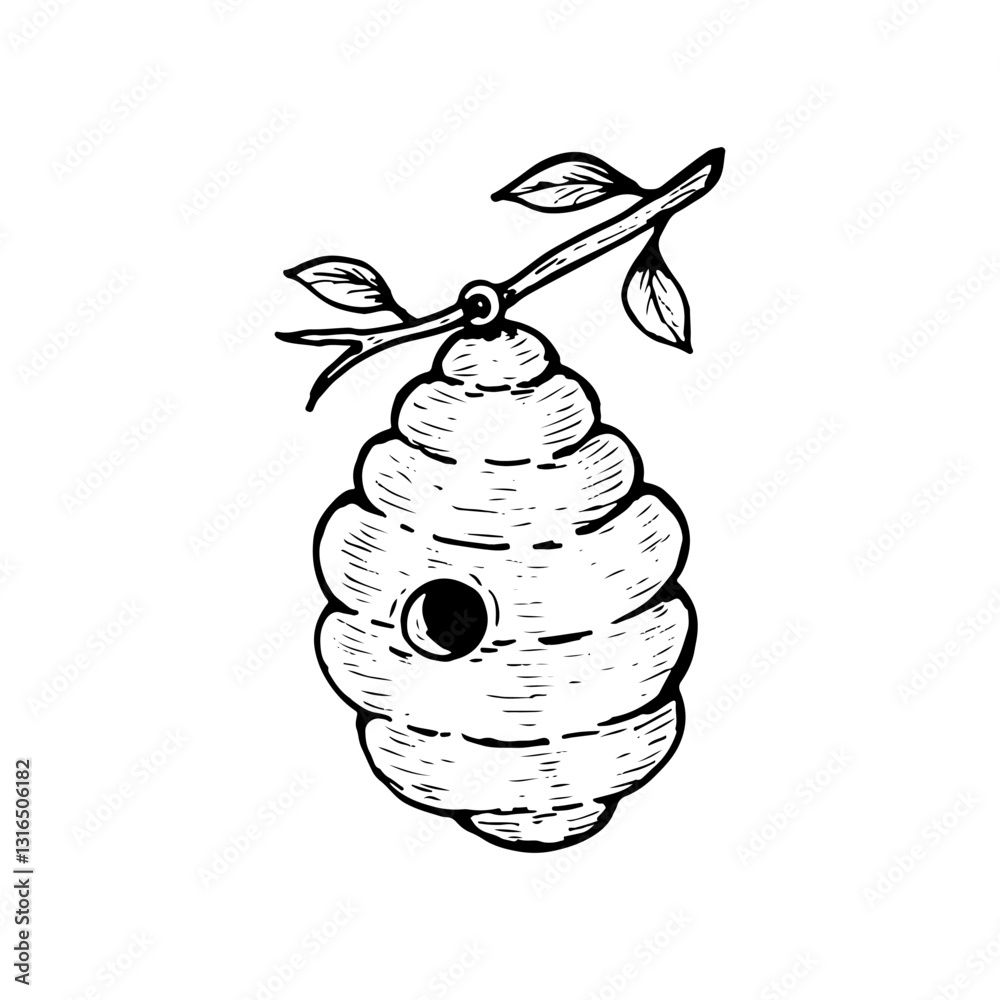 Beehive hanging from a branch and leaves, cartoon hand-drawn illustration. Beehive hanging from a branch and leaves, cartoon hand-drawn illustration.