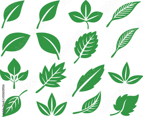 Leaf icons set isolated on white background. Leaf logotype. Vector
