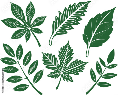Leaf icons set isolated on white background. Leaf logotype. Vector