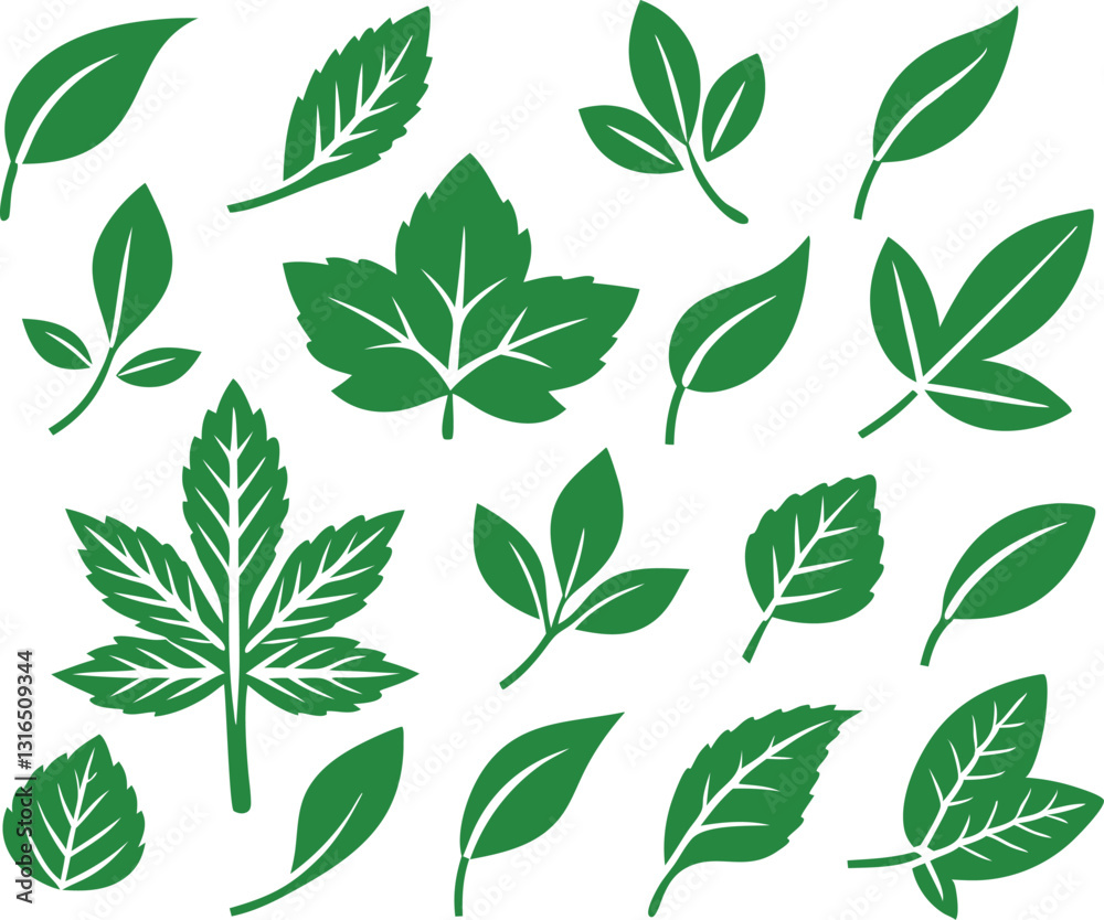 Leaf icons set isolated on white background. Leaf logotype. Vector Leaf icons set isolated on white background. Leaf logotype. Vector