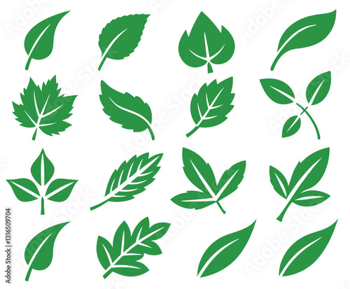 Leaf icons set isolated on white background. Leaf logotype. Vector