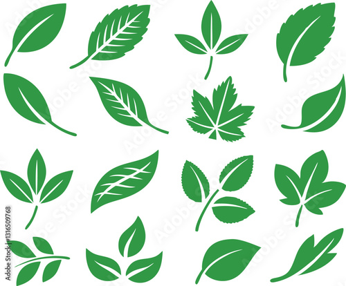 Leaf icons set isolated on white background. Leaf logotype. Vector
