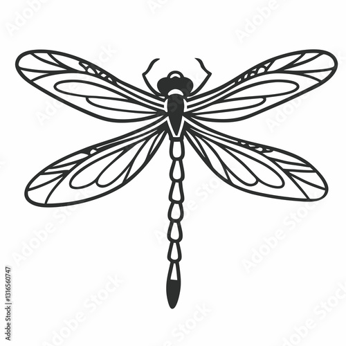 dragonfly vector illustration