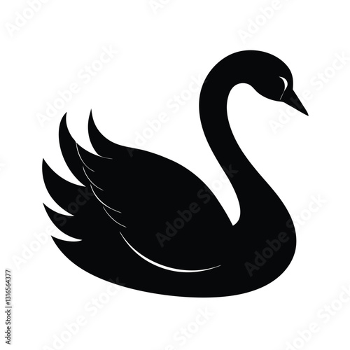 black swan vector illustration