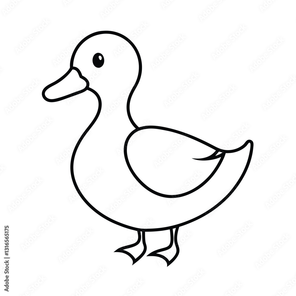 duck isolated on white background duck isolated on white background