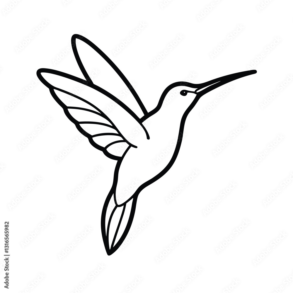 Obraz premium hummingbird vector illustration
