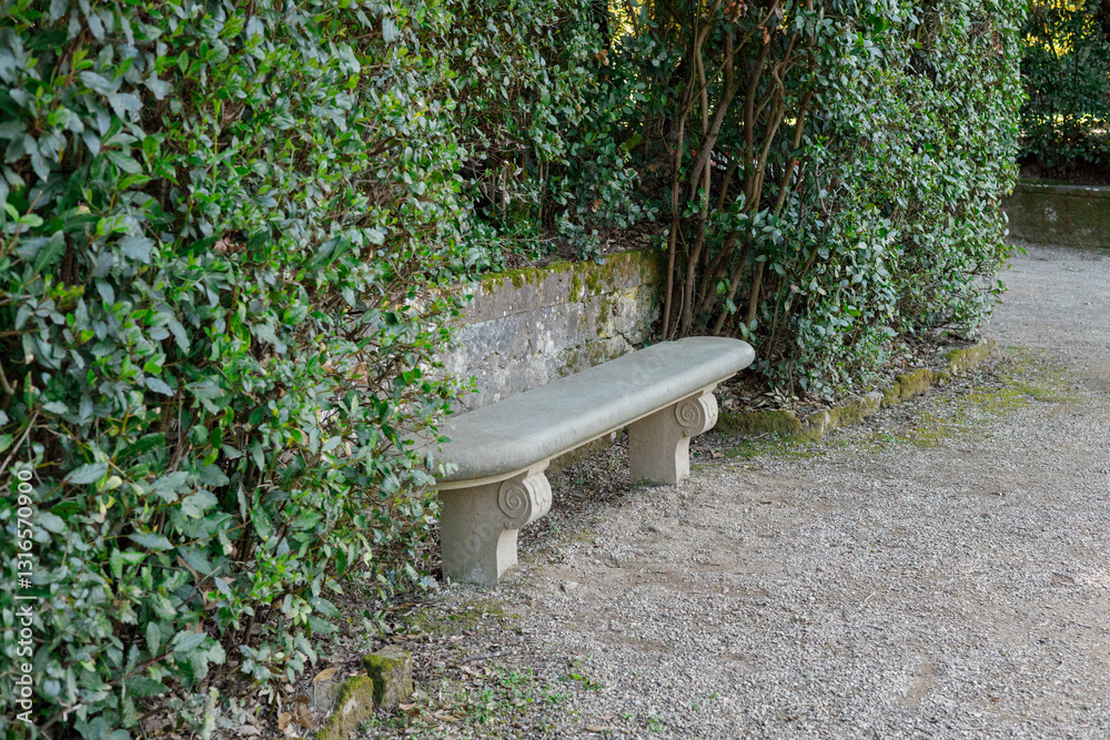 Gray relaxing bench in the green garden during summer. Old stone bench in the park, relax time
